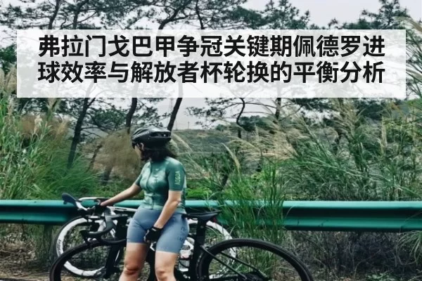 弗拉门戈巴甲争冠关键期佩德罗进球效率与解放者杯轮换的平衡分析